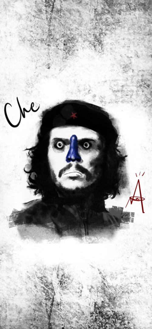 Che Guevara By From Japan